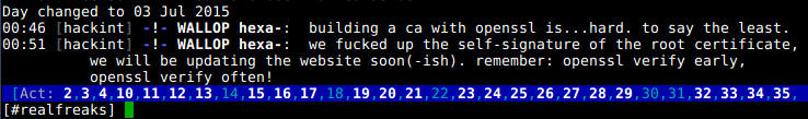 IRC wallop on hackint