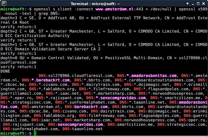 Screenshot of openssl s_client -connect www.amsterdam.nl:443