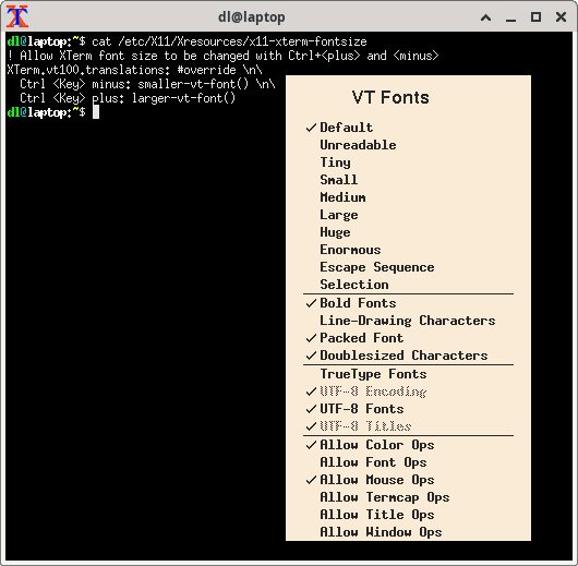 Screenshot of an Xterm window with the context menu displayed